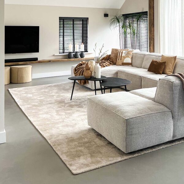 Flavia Beige vloerkleed. Tapijt in neutrale beige kleur.
